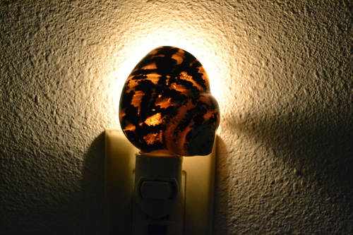 Black Cyprea Pica Turbo Shell Nightlight