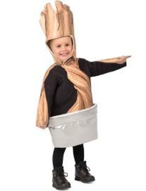 Princess Paradise 270216 Guardians of The Galaxy Potted Groot Costume 