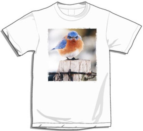 Songbird Essentials SEEK10XXL XXLarge Mad Bluebird T-Shirt