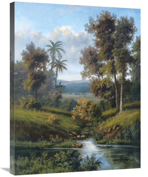Global Gallery GCS-114658-2432-142 24 x 32 in. Shades of Evening Art P