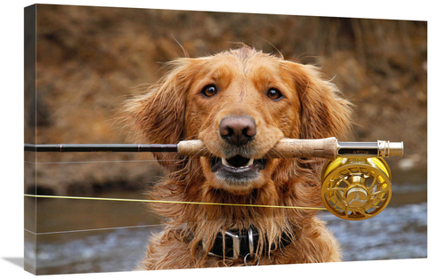 Global Gallery GCS-486568-30-142 30 in. His Masters Rod Art Print - Vi