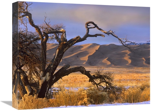 Global Gallery GCS-396705-1620-142 16 x 20 in. Grasslands & Dunes,