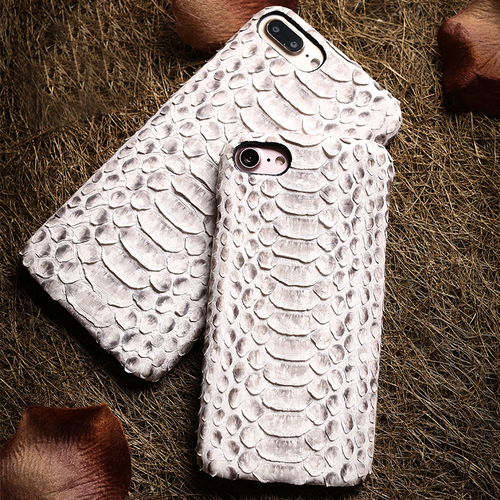 Python Skin iPhone Case