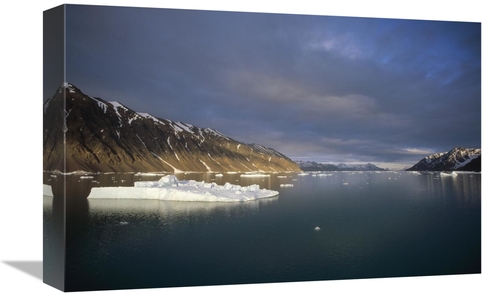 Global Gallery GCS-451339-1218-142 12 x 18 in. Evening Light, Sval