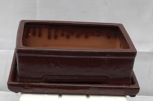 Parisian Red Ceramic Bonsai Pot -RectangleWith Humidity Drip Tray10.5"