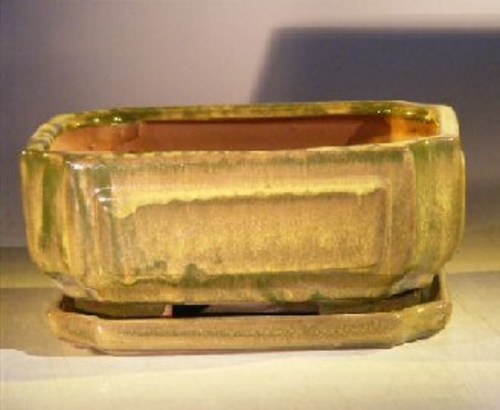 Green Ceramic Bonsai Pot - RectangleProfessional Series with Attached