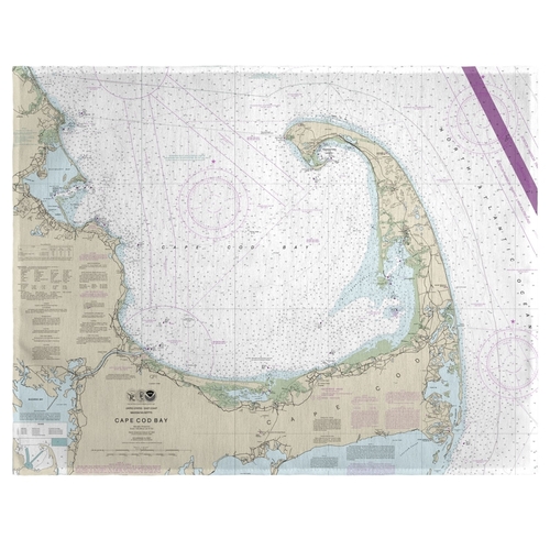 Betsy Drake PM13246 14 x 18 in. Cape Cod Bay, MA Nautical Map Plac