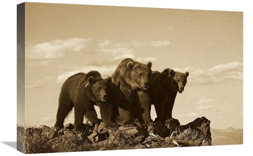 Global Gallery GCS-453689-1624-142 16 x 24 in. Grizzly Bear with Two O