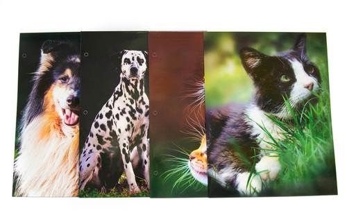 A+ Homework Glossy 2 Pocket Folder - Cute, Cuddly Dogs and Cats