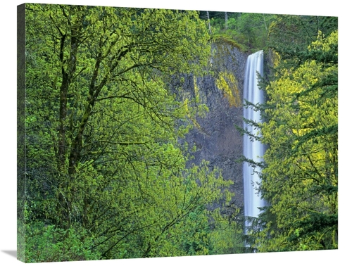 Global Gallery GCS-396521-2835-142 28 x 35 in. Latourell Falls, Co