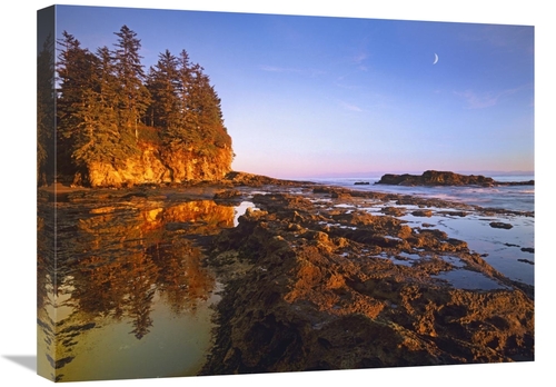 Global Gallery  18 x 24 in. Tidepools Exposed at Low Tide, Botanic