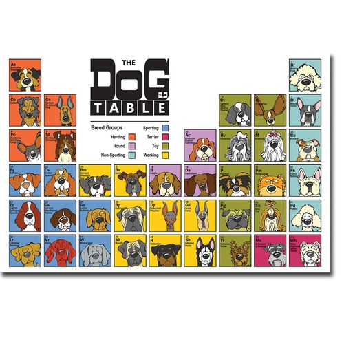 Artistic Home Gallery 2436L733IG The Dog Table by Angry Squirrel Studi