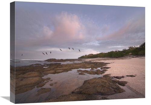 Global Gallery GCS-396360-1824-142 18 x 24 in. Pelicans Over Playa Lan