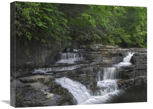 Global Gallery GCS-396294-1824-142 18 x 24 in. Dismal Falls, Jeffe