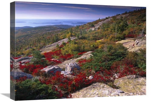 Global Gallery GCS-396692-1824-142 18 x 24 in. Atlantic Coast From Cad