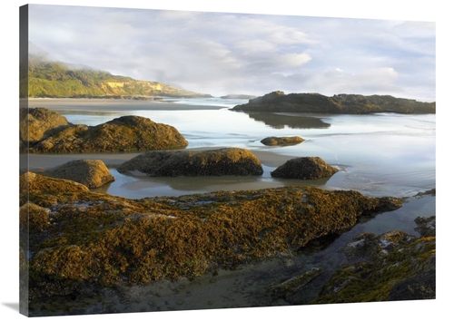 Global Gallery GCS-396653-3040-142 30 x 40 in. Seaweed Covered Rocks E