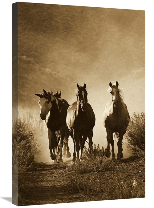 Global Gallery GCS-453704-2030-142 20 x 30 in. Horse Group of Four App