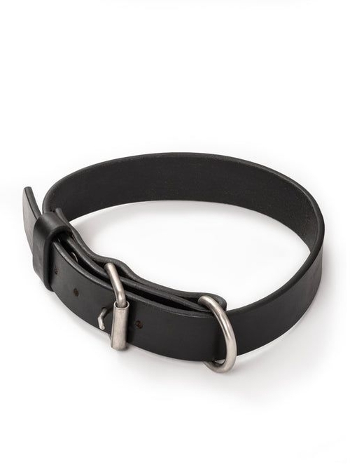 Leather Dog Collar