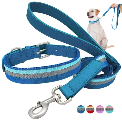Nylon and  Leather Dog Collar and Leash Set