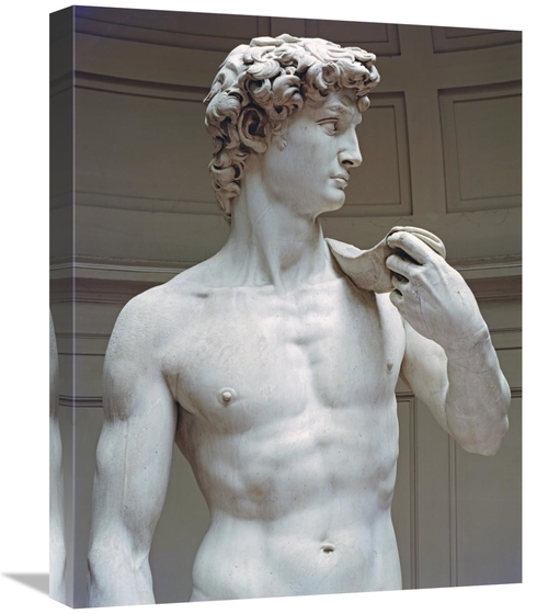 Global Gallery GCS-282513-22-142 22 in. David - Detail I Art Print - M