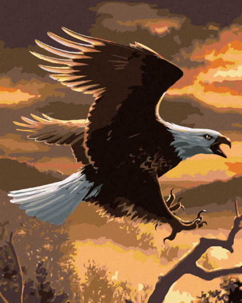 Zuty - Paint by Numbers - BALD EAGLE AND THE SUNSET (JOE HAUTMAN),