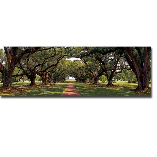 Artistic Home Gallery 1236B108CG Enchanted Oaks by Mike Jones Custom G