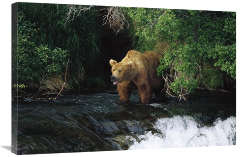 Global Gallery GCS-452536-2436-142 24 x 36 in. Grizzly Bear Fishing&#4