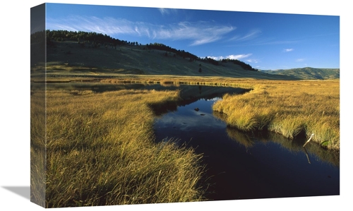 Global Gallery GCS-396309-1218-142 12 x 18 in. Blacktail Lake, Yel