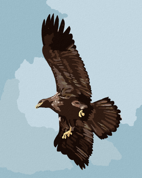 Zuty - Paint by Numbers - EAGLE (D. RUSTY RUST), 40x50 cm