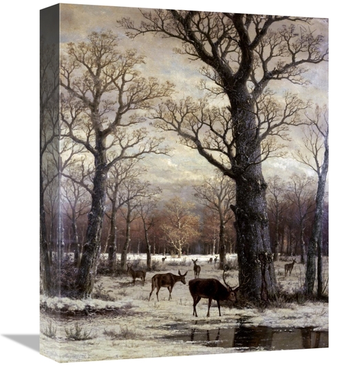 Global Gallery GCS-280796-16-142 16 in. Deer Foraging, Winter Art 
