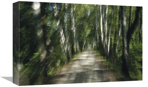 Global Gallery GCS-398483-1218-142 12 x 18 in. Tree Lined Road, Ab