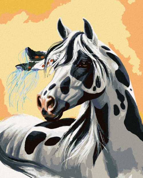 Zuty - Paint by Numbers â€“ SPOTTED HORSE WITH A FEATHER IN ITS MANE