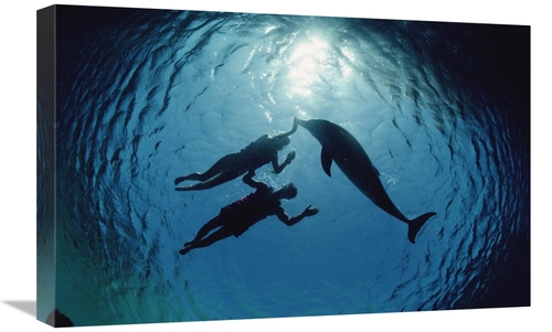 Global Gallery GCS-450628-1624-142 16 x 24 in. Bottlenose Dolphin Silh