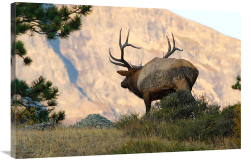 Global Gallery GCS-486475-40-142 40 in. Towards the Sunset Art Print -