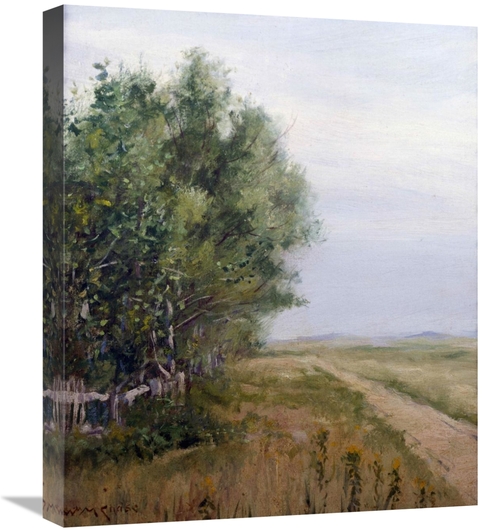 Global Gallery GCS-277085-22-142 22 in. Country Lane Art Print - Willi