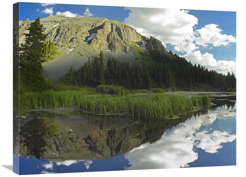 Global Gallery GCS-396204-2432-142 24 x 32 in. Palmyra Peak Reflected 