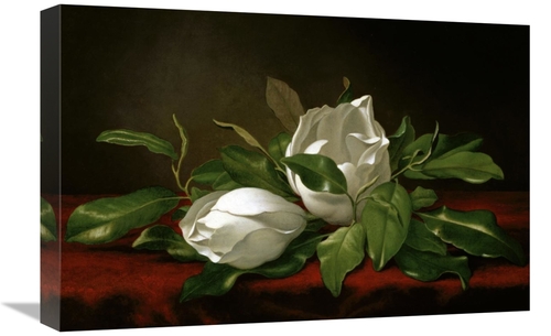 Global Gallery GCS-282179-22-142 22 in. Magnolia Art Print - Martin Jo
