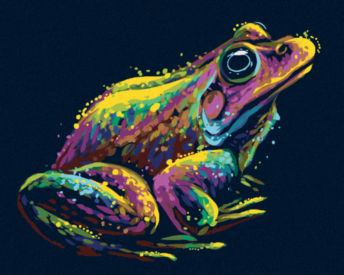 Paint by Numbers - COLOURFUL FROG