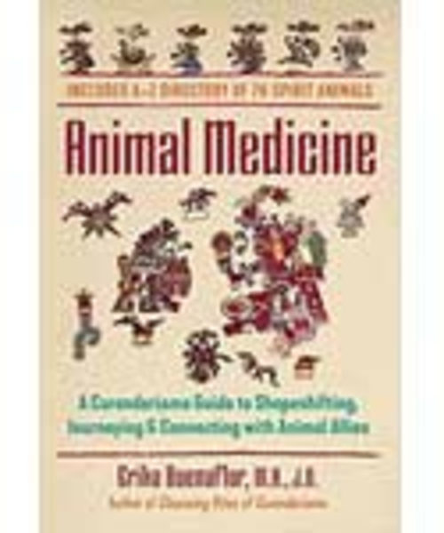 Animal Medicine by Erika Buenaflor