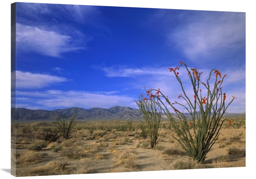 Global Gallery GCS-396991-3040-142 30 x 40 in. Ocotillo & the Vallecit