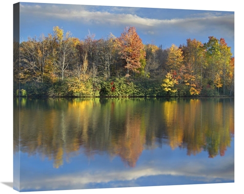 Global Gallery GCS-396974-30-142 30 in. Deciduous Forest in Autumn Alo