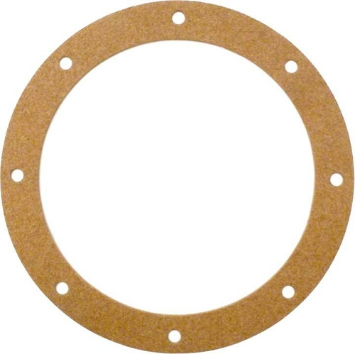 ALA-PT APCG3060 Main Drain Gasket