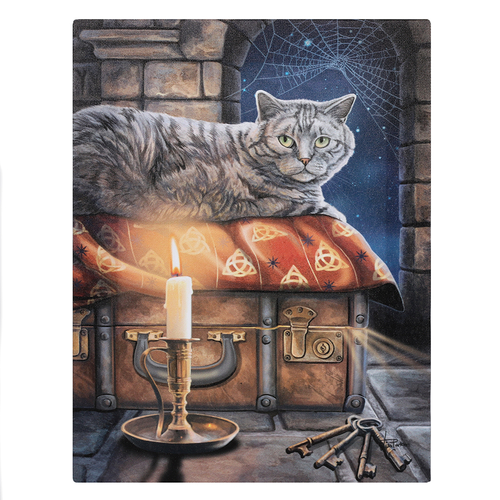 19x25cm The Keeper Of Secrets Canvas Plaque by Lisa Parker