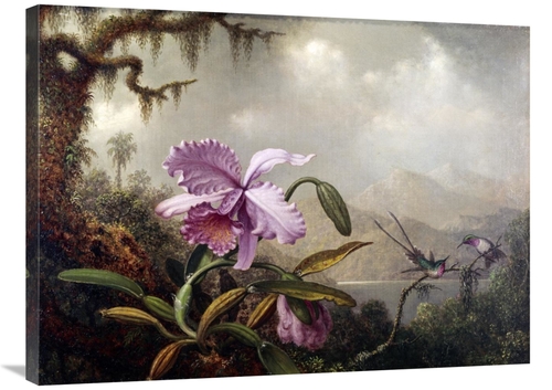 Global Gallery GCS-277940-36-142 36 in. Hummingbirds & Orchids Art Pri