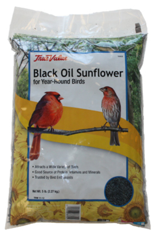 JRK Seed & Turf Supply 164628 True Value 5 lbs Sunflower Bird Seed&#44