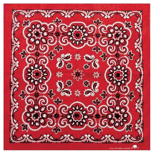 Texas Paisley Bandana - Red