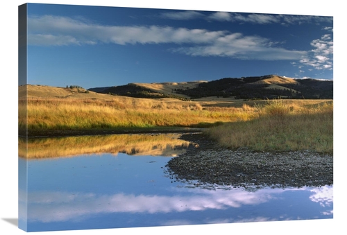 Global Gallery GCS-396717-2432-142 24 x 32 in. Absaroka Range & Slough