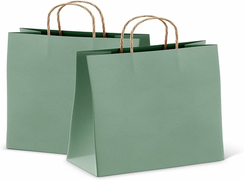 Silver Shopping Bags Bulk Pack of 50 Large Paper Bags 8 x 4.75 x 10.5