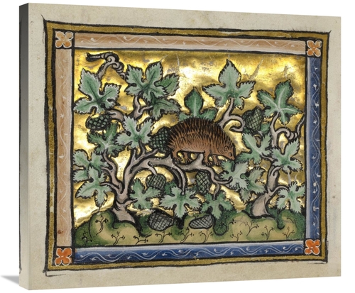 Global Gallery GCS-454752-30-142 30 in. A Hedgehog Art Print - Franco-