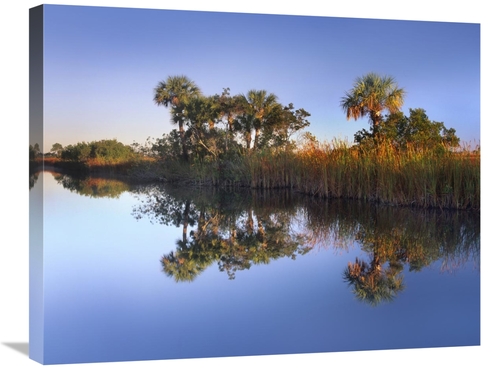 Global Gallery GCS-396869-2228-142 22 x 28 in. Royal Palms & Reeds Alo